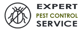 Emergency Exterminator Company  Miami FL